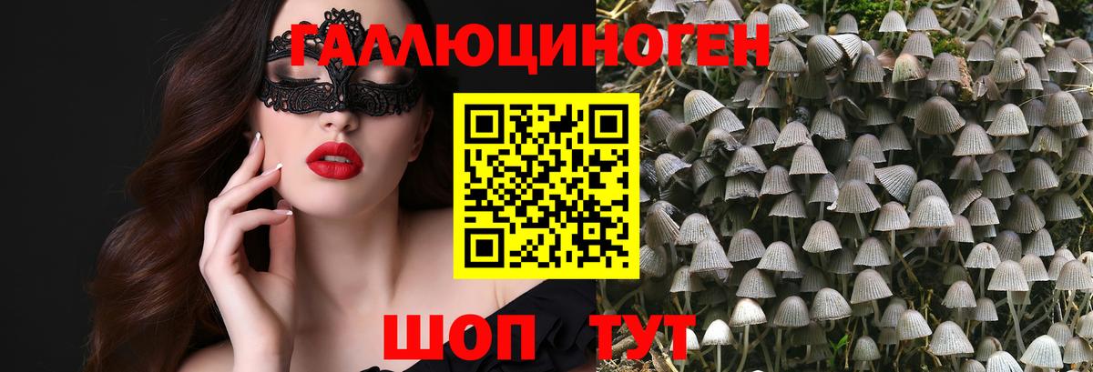 где можно купить   Псилоцибиновые грибы GOLDEN TEACHER  Вход с VPN  Ярцево 