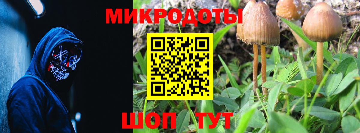 Галлюциногенные грибы мухоморы Ярцево